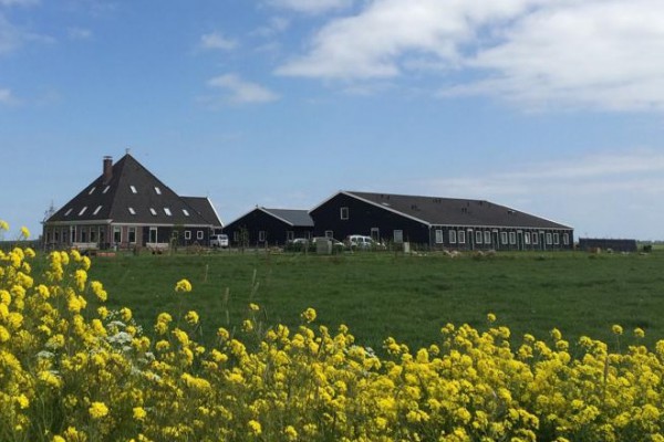 Zorgboerderij Ons verlangen Amsterdam Zunderdorp